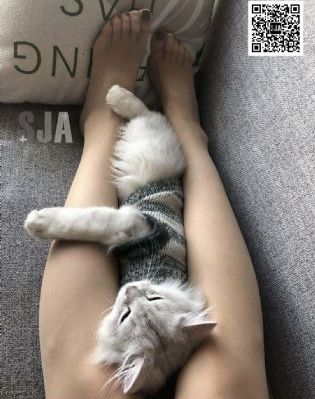 91精品国产一区二区_高清在线视频观看
