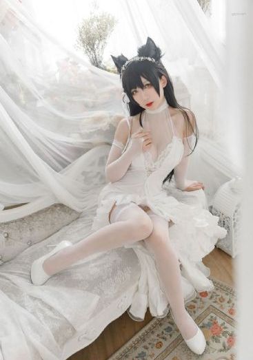 欧美人与动牲交高清_4K电影完整版
